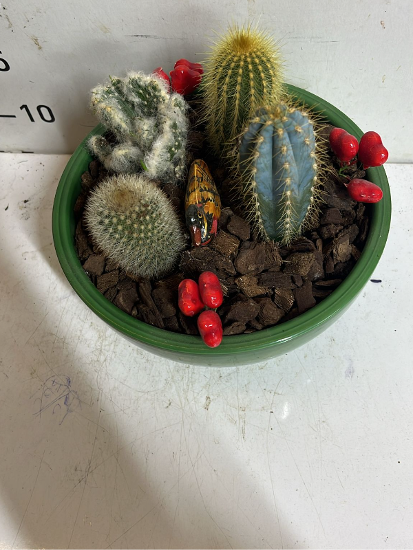  Antalya Çiçekler - Yeşil Bahçe