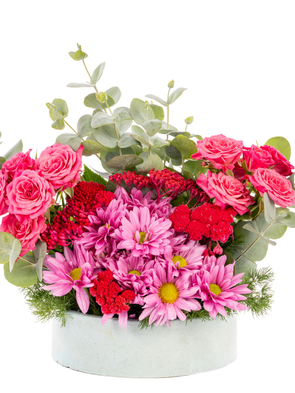  Antalya Çiçekler - Love Garden Güller & Kasımpatı