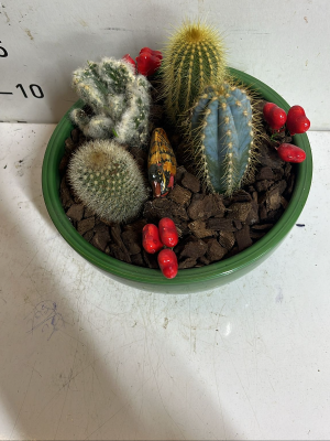  Antalya Çiçekler - Yeşil Bahçe