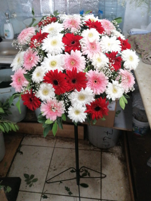  Antalya Çiçekler - Lnfinity